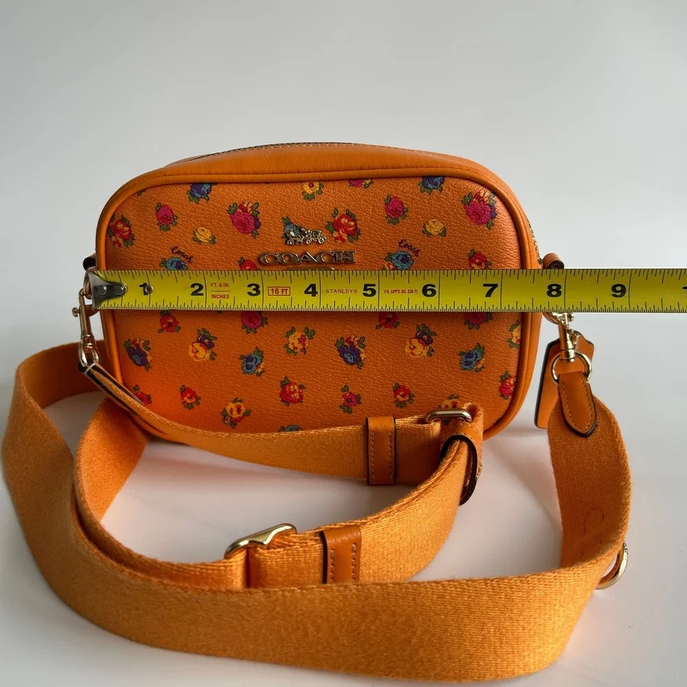 Coach this mini